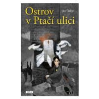 Ostrov v Ptačí ulici