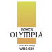 Olympia WBS630 Struny pro kontrabas