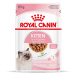 Royal Canin Kitten v omáčce - 48 x 85 g