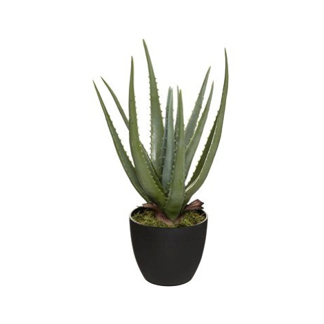 Atmosphera Umělá aloe vera, real touch, 44 cm