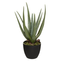 Atmosphera Umělá aloe vera, real touch, 44 cm