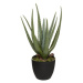 Atmosphera Umělá aloe vera, real touch, 44 cm