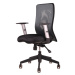 Ergonomická kancelářská židle OfficePro Calypso Barva: šedá