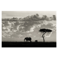 Fotografie Silhouettes of Mara, Mario Moreno, 40 × 26.7 cm