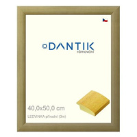 DANTIK rámeček 40 × 50, LEDVINKA přírodní sklo čiré