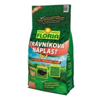 FLORIA Trávníková náplast 3v1, 1 kg
