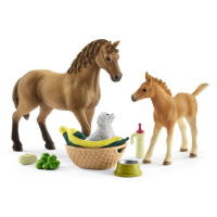 Schleich 42432 set hříbě a quarter kůň se štěňátkem a doplňky