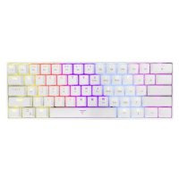 White Shark SHINOBI WHITE - BROWN SWITCHES - US