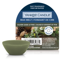 YANKEE CANDLE Vonný vosk Silver Sage & Pine 22 g