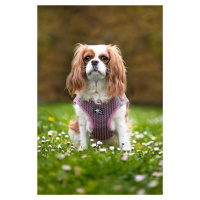 Vsepropejska Dumo postroj pro psa s vodítkem | 26 – 43 cm Barva: Růžová, Obvod hrudníku: 40 - 43