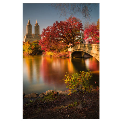 Umělecká fotografie Fall in Central Park, Christopher R. Veizaga, (26.7 x 40 cm)
