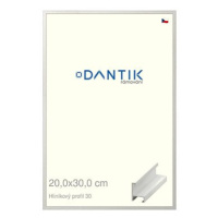 DANTIK rámeček 20 × 30, ALU profil 6030 Dýha bílý sklo čiré