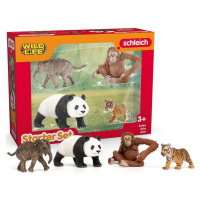 Schleich 42736 Startovací set Wild Life Asie