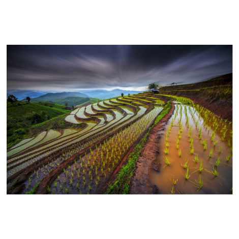 Umělecká fotografie Unseen Rice Field, Tetra, (40 x 26.7 cm)
