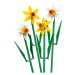 LEGO® Botanicals 40747 Narcisy