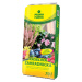 AGRO CS PRIMAFLORA Rašelina 70 l