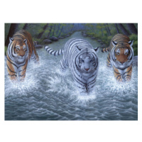 Malování velké Royal Tři tygři