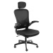 tectake 405323 ergonomická kancelářská židle arges s nastavitelnou opěrkou hlavy - černá černá P