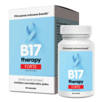 B17 therapy 500mg tob.60