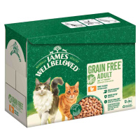 James Wellbeloved Adult Cat Grain Free Turkey - Výhodné balení: 48 x 85 g