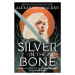 Silver in the Bone - Alexandra Bracken - kniha z kategorie Fantasy