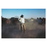 Ilustrace Cowboy with lariat rounding up horses, Bread and Butter, 40 × 26.7 cm