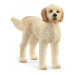 Schleich Pes Goldendoodle