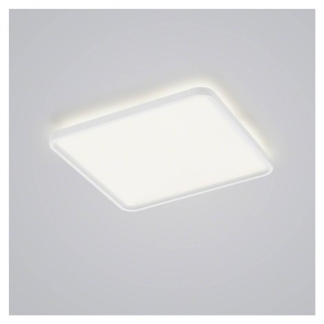 Helestra Helestra Vesp LED panel backlight 61x61cm bílá
