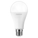 CENTURY LED HRUŠKA ARIA PLUS 20W E27 6500K 2500lm 270d