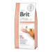 Brit VD Dog GF Renal 12kg