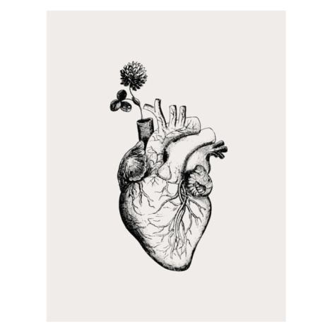Plakát, Obraz - Heart Bloom, KsanaKalpa, 30 × 40 cm