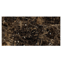 Dlažba Ragno Incanto Emperador 60x120 cm lesk R8TE