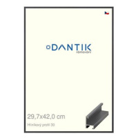 DANTIK rámeček 29,7 × 42, ALU profil 6030 Dýha barevný šedý tmavý plexi čiré