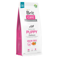 Brit Care Grain Free Puppy Salmon & Potato - 2 x 12 kg