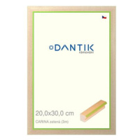 DANTIK rámeček 20 × 30, CARINA zelený sklo čiré