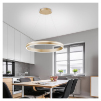 Q-Smart-Home Paul Neuhaus Q-VITO LED závěsné světlo, 1 kruh