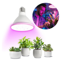 LED Žárovka pro růst rostlin PLANTY E27/9W/230V 1200K bílá