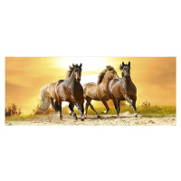 MP-2-0227 Vliesová obrazová panoramatická fototapeta Horses in Sunset + lepidlo Zdarma, velikost