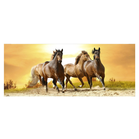 MP-2-0227 Vliesová obrazová panoramatická fototapeta Horses in Sunset + lepidlo Zdarma, velikost Dimex - ČR