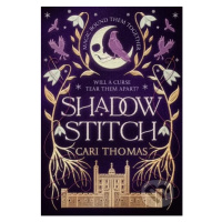 Shadowstitch - Cari Thomas - kniha z kategorie Fantasy