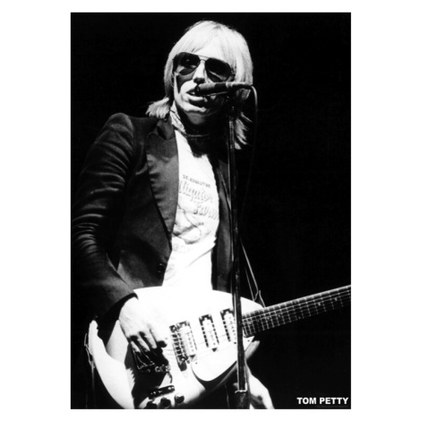 Plakát, Obraz - Tom Petty, (59.4 x 84.1 cm)