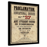 Obraz na zeď - Harry Potter - Educational Decree No. 27, 30x40 cm