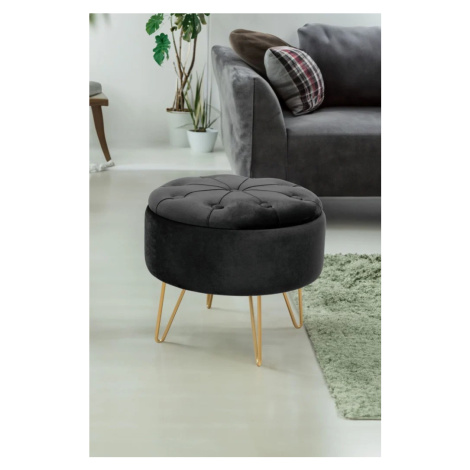 Elegantní taburet DRAVIEN s úložným prostorem - černý / zlatý
