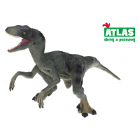 Atlas C Velociraptor 16 cm