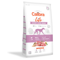 Calibra Dog Life Junior Large Breed Lamb 12 kg