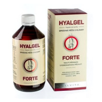 Hyalgel FORTE 500 ml