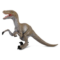 Collecte - Velociraptor