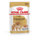 ROYAL CANIN POMERANIAN ADULT MOUSSE krmivo v kapsičce pro dospělé pomeraniany (> 8 měsíců), 12 ×