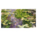 Obrazová reprodukce Lekníny, Claude Monet, 40 × 22.2 cm