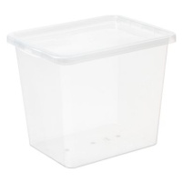 Plast Team Úložný box 31 l, 42,5 × 33 × 34,7 cm Basic box, čirý